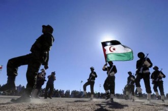 (EXCLU KOACI) Guerre au Mali : Plusieurs milliers d'islamistes au Sahara occidental !